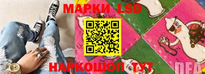 шишки Шелехов