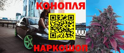 шишки Шелехов
