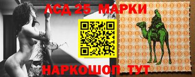 шишки Шелехов