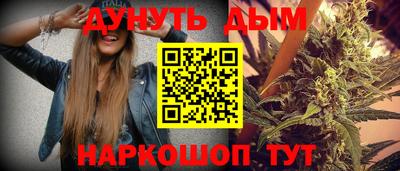 шишки Шелехов