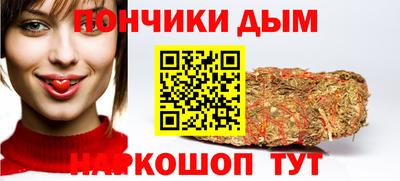 шишки Шелехов