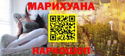 гашик Шебекино