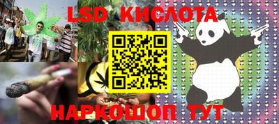 шишки Шелехов