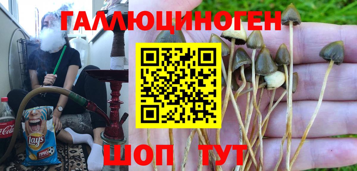 Галлюциногенные грибы Psilocybe  наркотики  Алушта  Вход с VPN 